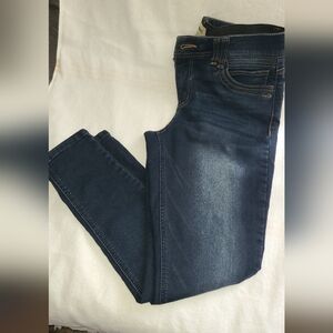Democracy Indigo Skinny Jeans